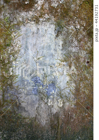 Old wall covered with moss and mold - frame Old wall covered with moss and mold - frame 44192731
