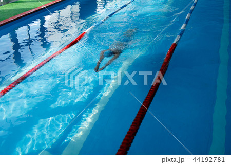 Image of sportsman swimming on path in pool Image of sportsman swimming on path in pool 44192781