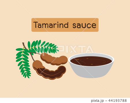 tamarind fruit with tamarind sauce tamarind fruit with tamarind sauce 44193788
