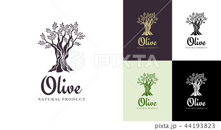 Olive tree vector logo design template for oil. Tree olive silhouette Olive tree vector logo design template for oil. Tree olive silhouette 44193823