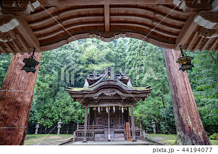 大瀧神社・岡太神社 大瀧神社・岡太神社 44194077