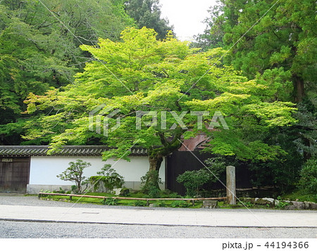 南禅寺 京都 南禅寺 京都 44194366