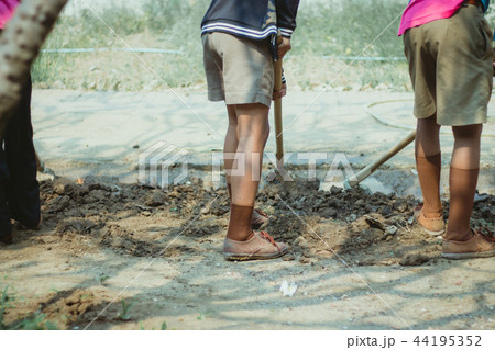 The students help to dig up the grass 44195352