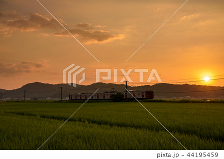 JR筑肥線の列車と夕景 44195459