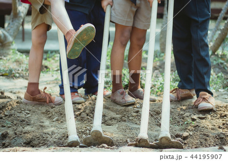 The students help to dig up the grass The students help to dig up the grass 44195907