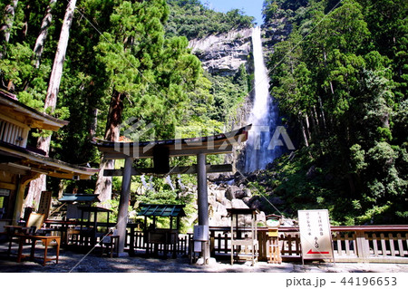 熊野那智大社 別宮・飛瀧神社那智大滝 & 鳥居 ( 和歌山県 東牟婁郡 那智勝浦町 ) 熊野那智大社 別宮・飛瀧神社那智大滝 & 鳥居 ( 和歌山県 東牟婁郡 那智勝浦町 ) 44196653