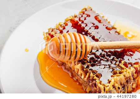 Honeycomb on plate with honey dipper Honeycomb on plate with honey dipper 44197280
