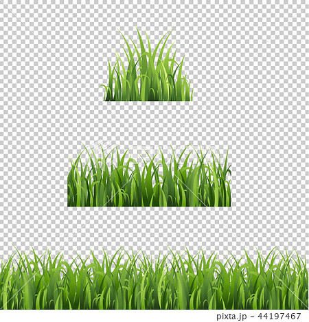 Green Grass Set Isolated Transparent Backgroundのイラスト素材