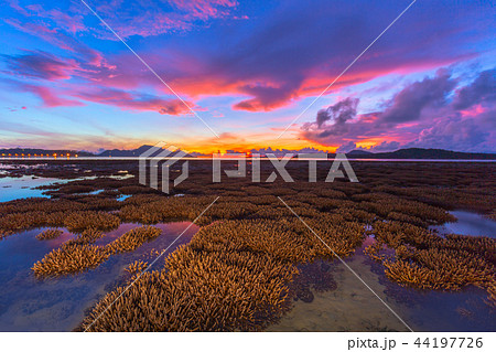 scenery sunrise above coral reef in Phuket island 44197726