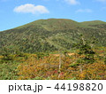 八甲田山（赤倉岳）、上毛無岱より 44198820