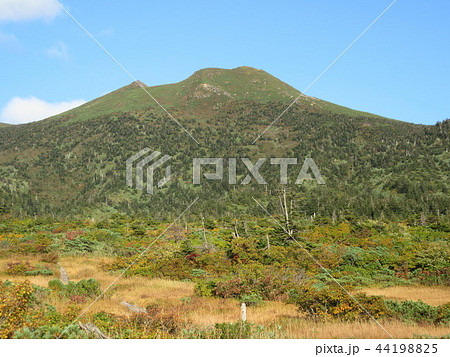 八甲田山(井戸岳)、上毛無岱より 八甲田山(井戸岳)、上毛無岱より 44198825
