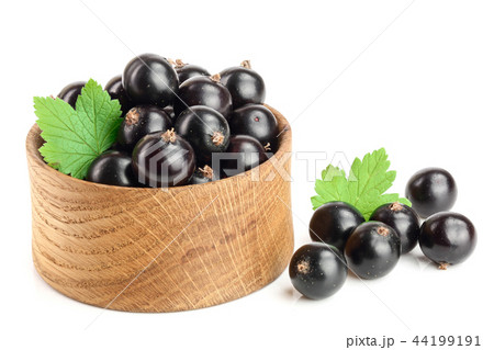 black currant with leaf in wooden bowl isolated on white background 44199191