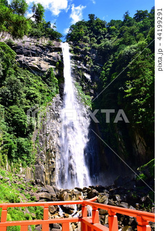熊野那智大社　那智大滝 ＆ 別宮・飛瀧神社 （和歌山県 東牟婁郡 那智勝浦町 ） 44199291