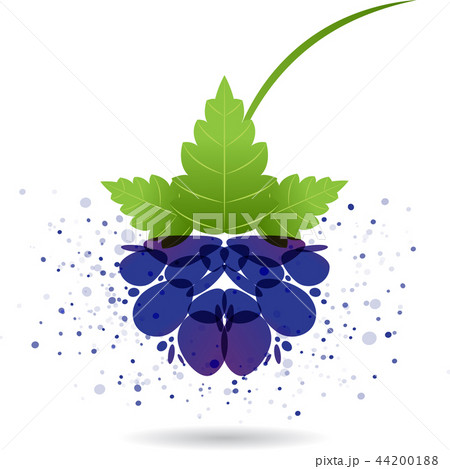 Blackberry splash vector Blackberry splash vector 44200188