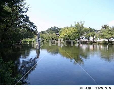 石神井公園 石神井公園 44201910