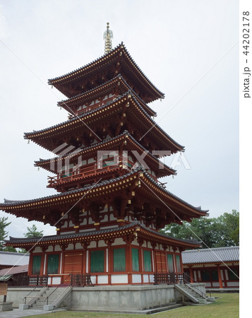 西塘_薬師寺 西塘_薬師寺 44202178