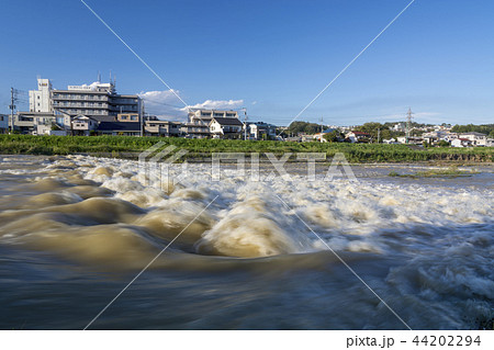 台風翌日の増水した魚道 44202294