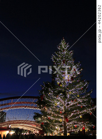 クリスマスツリー クリスマスツリー 44202362