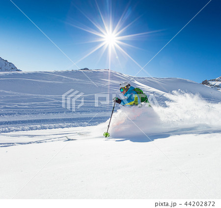 Freeride in fresh powder snow. Freeride in fresh powder snow. 44202872