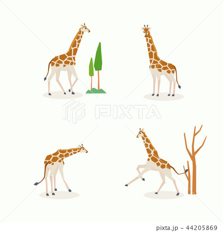 Animal icons collection vector illustration 049 44205869