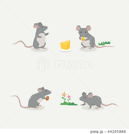 マウス実験のイラスト素材