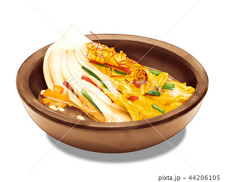 Kimchi vector illustration 5 Kimchi vector illustration 5 44206105