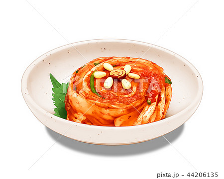 Kimchi Vector Illustration 4のイラスト素材