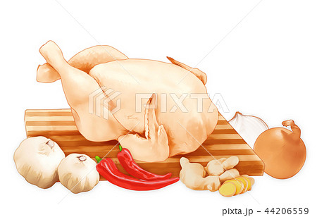 Food Illust 2 44206559