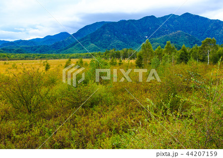 戦場ヶ原展望台　【栃木県日光市】 44207159
