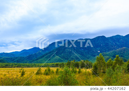 戦場ヶ原展望台　【栃木県日光市】 44207162