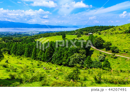 新緑の牧場の里あづま　【長崎県雲仙市吾妻町】 44207491
