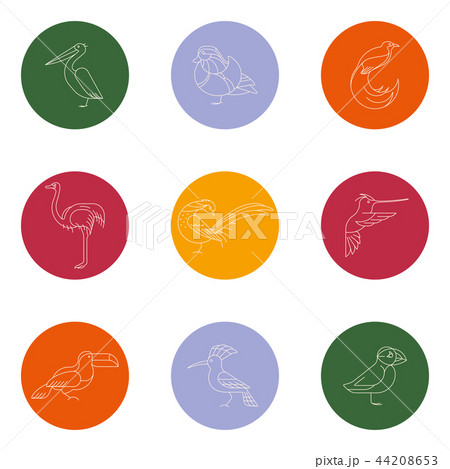 Birds are different species 44208653