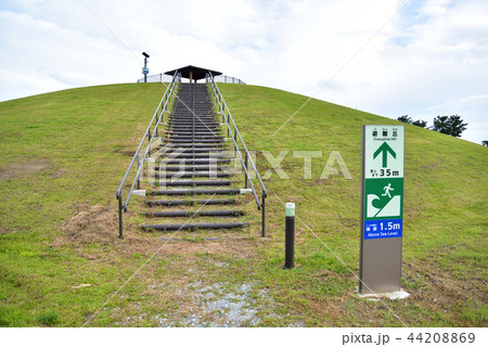 千年希望の丘 避難丘 千年希望の丘 避難丘 44208869