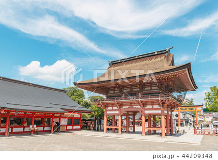 津島神社の風景 44209348