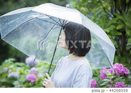 梅雨 梅雨 44209359