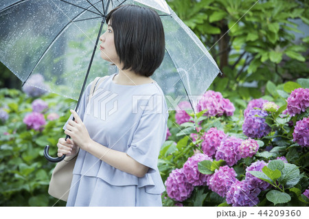 梅雨 梅雨 44209360