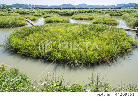 ゲトゴル 生態公園 建築 44209951