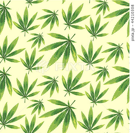 Marijuana leaves seamless vector pattern. Marijuana leaves seamless vector pattern. 44210308