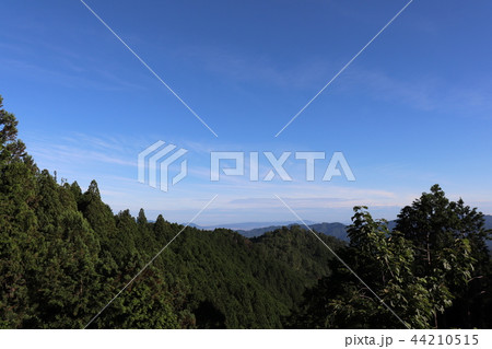 奈良・吉野　山奥 44210515