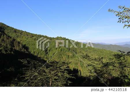 奈良 吉野山奥 奈良 吉野山奥 44210518