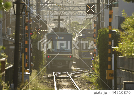 江ノ電2000形 【神奈川県鎌倉市】 秋の夕景 44210870