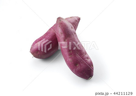鳴門金時 (sweet potato grown in sandy soil) 44211129