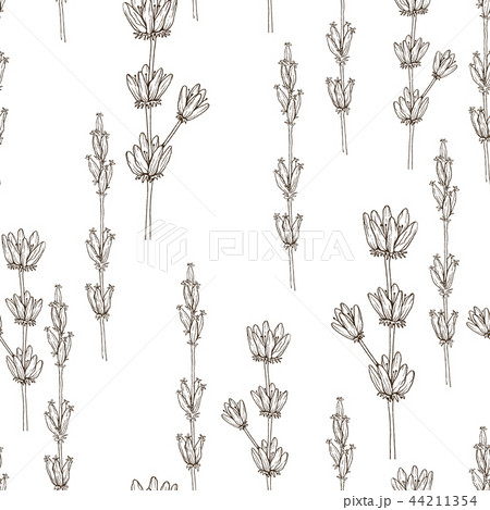 Seamless pattern of wild herbal flowers. Vector. Hand drawn artwork. Flower concept for wedding Seamless pattern of wild herbal flowers. Vector. Hand drawn artwork. Flower concept for wedding 44211354