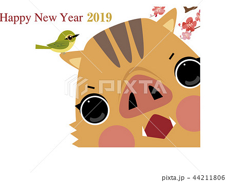 年賀2019_猪_うぐいす_顔アップ 年賀2019_猪_うぐいす_顔アップ 44211806