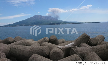 桜島 44212574