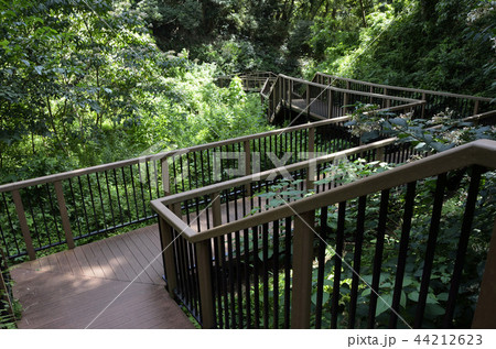 小網代の森 小網代の森 44212623