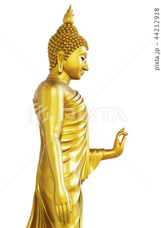 Buddha statue on white background  44212918