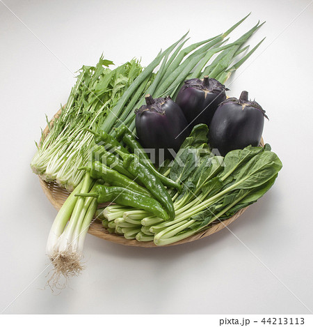 京野菜の集合 44213113