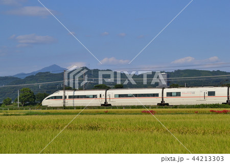 栢山の小田急線 VSE 栢山の小田急線 VSE 44213303