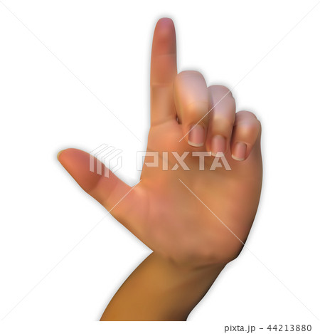 A realistic 3D hand of a person looking at the palm with a pointing index finger and the rest of the 44213880